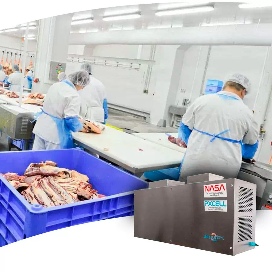 Purificador industrial Airpurtec en acero inoxidable en sala de procesado de alimentos